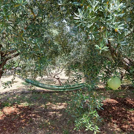 Anita Apartmán Zadar